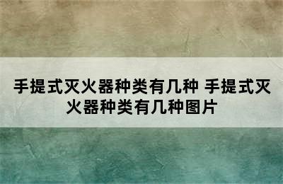 手提式灭火器种类有几种 手提式灭火器种类有几种图片